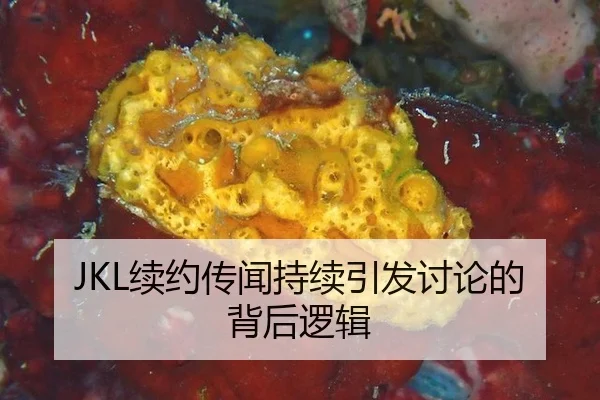 JKL续约传闻持续引发讨论的背后逻辑